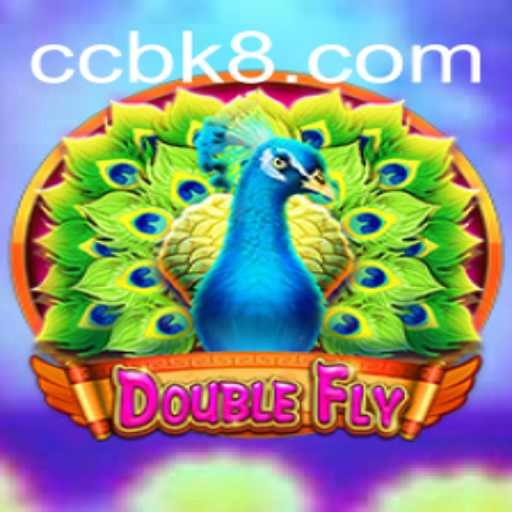 DoubleFly: Exploring the Thrills of the Game with BK8